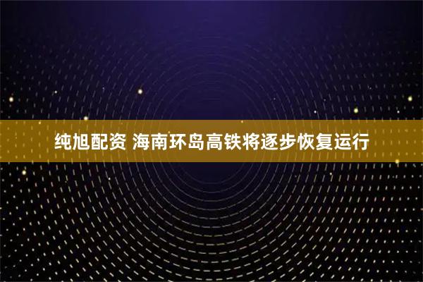 纯旭配资 海南环岛高铁将逐步恢复运行