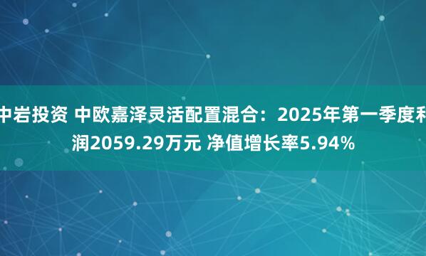 中岩投资 中欧嘉泽灵活配置混合：2025年第一季度利润2059.29万元 净值增长率5.94%