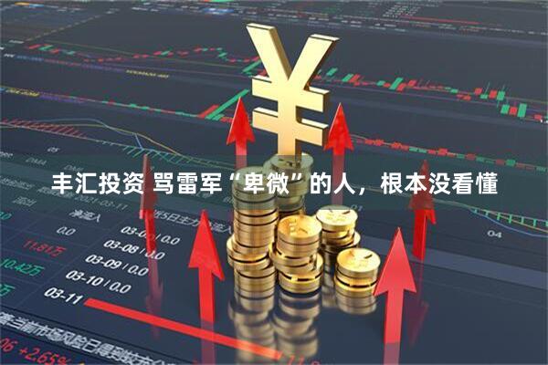 丰汇投资 骂雷军“卑微”的人，根本没看懂
